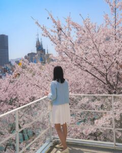 首尔观赏樱花的好去处 - 문화실험공간 호수 图/p.mini_ instagram