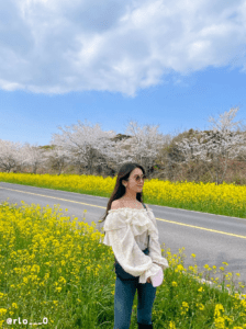 韩国济州岛的著名赏樱地点 - 樱花油菜花兜风路 图/rlo___0 instagram