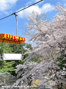 韩国樱花之旅必去地点 - 首尔大公园天空缆车 图/@seoulgrandpark_skylift instagram