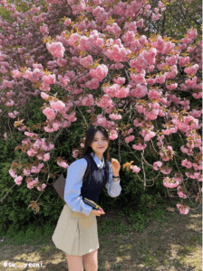 韩国首尔儿童大公园复瓣樱花。